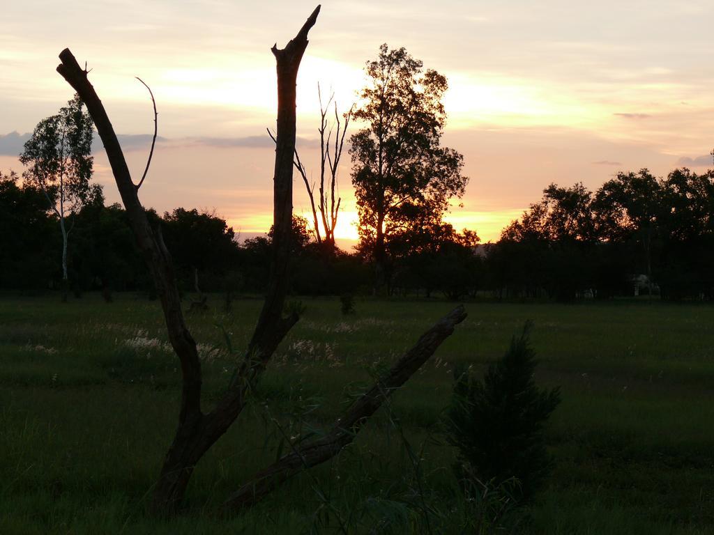 Votadini Country Cottages Magaliesburg Kültér fotó